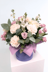 Alyvinių spalvų dėžutė